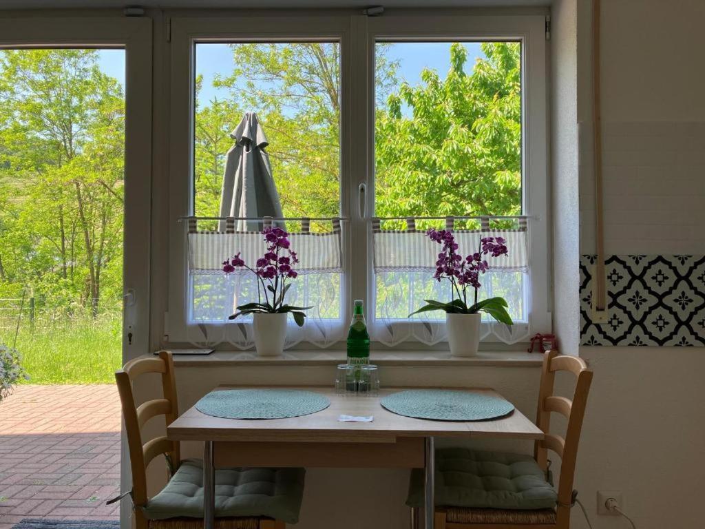 Ferienwohnung Im Moselland مارينغ - نوفياند المظهر الخارجي الصورة